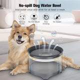 UPSKY 5.5L Dog Water Bowl,186oz Large Capacity No Spill Water Bowl for Dogs, Splash Proof Slow Water Feeder with Heightened Base, Anti-Slip Slow Drinking Pet Water Bowl for Messy Drinkers