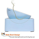 UPSKY Cat Dog Bowl Raised, Pet Feeder Bowl Non-Spill(0-30°Adjustable)