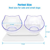 UPSKY Double Cat Dog Bowls, Elevated Cat Food Water Bowls, 15° Tilted Raised Pet Feeder Bowl