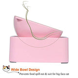 UPSKY Cat Dog Bowl Raised Cat Food, Water Bowl with Detachable Elevated Stand