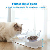 UPSKY Double Cat Dog Bowls, Elevated Cat Food Water Bowls, 15° Tilted Raised Pet Feeder Bowl