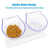 UPSKY Double Cat Dog Bowls, Elevated Cat Food Water Bowls, 15° Tilted Raised Pet Feeder Bowl