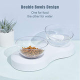 UPSKY Double Cat Dog Bowls, Elevated Cat Food Water Bowls, 0/20°Tilted Raised Pet Feeder Bowl