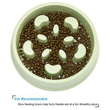 UPSKY Slow Feeder Dog Bowl Fun Feeder No Chocking Slow Feeder with Funny Pattern(Green)