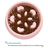 UPSKY Slow Feeder Dog Bowl Fun Feeder No Chocking Slow Feeder with Funny Pattern(Pink)