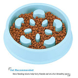 UPSKY Slow Feeder, Dog Cat Food Water Bowl with Funny Pattern, Dog Bowl Fun Feeder